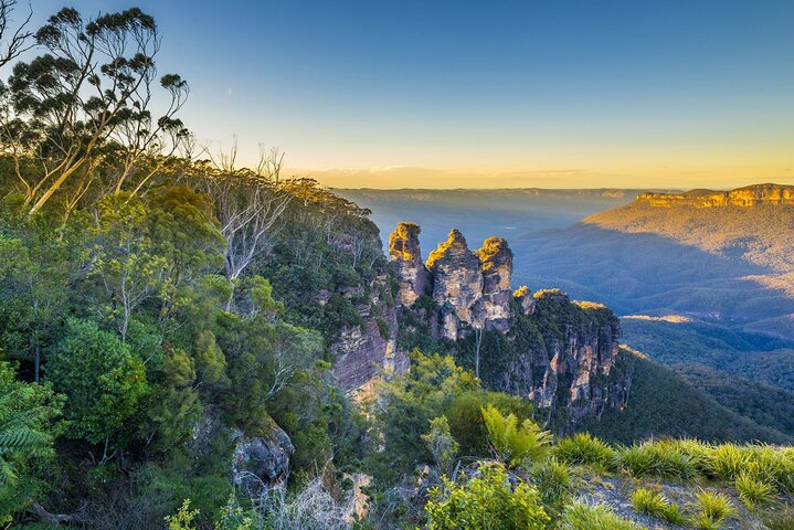 Blue Mountains Private Tour With Kangaroos & Koala Encounter - Accommodation Newcastle